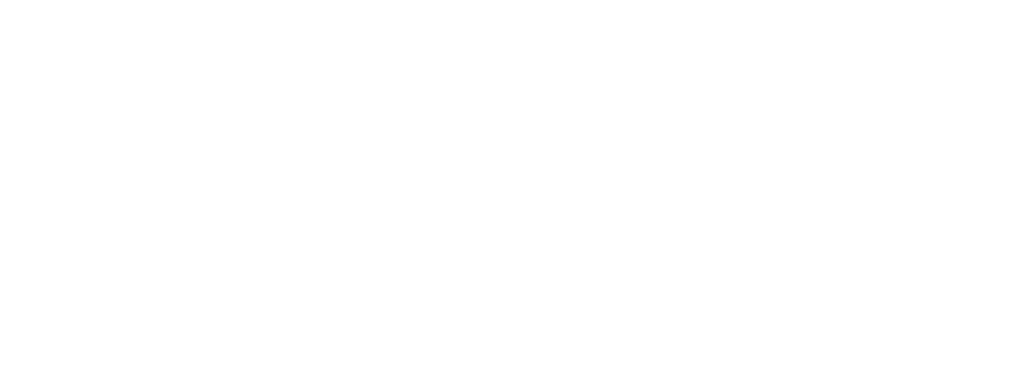 Vice